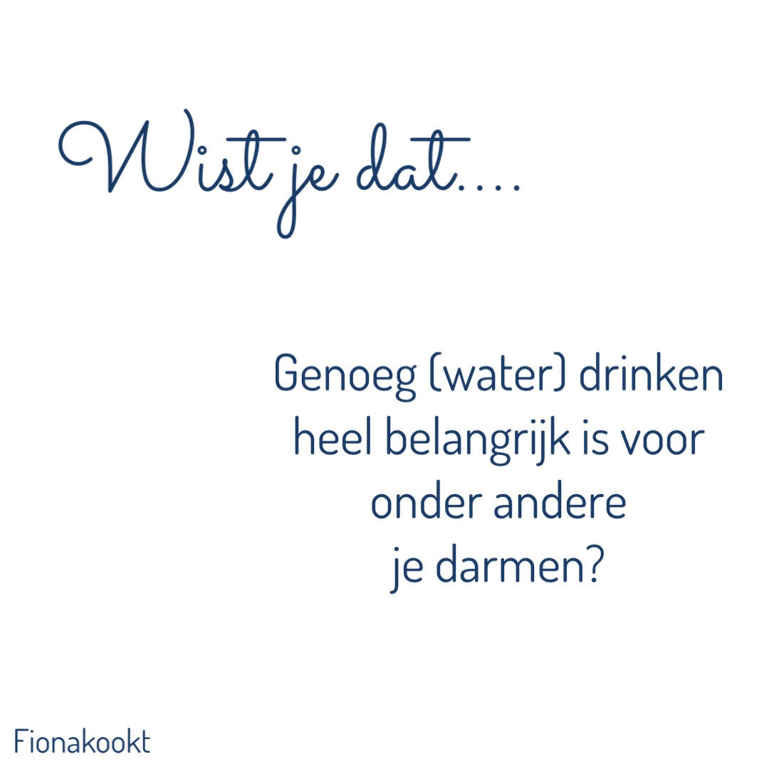 water heel belangrijk is voor onder andere je darmen?